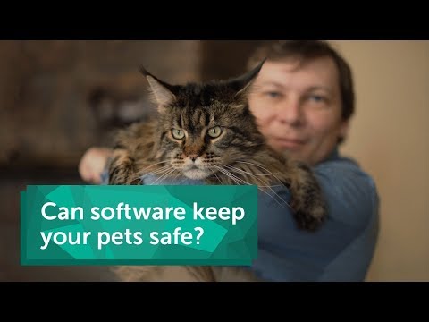 Can software keep your pets safe?