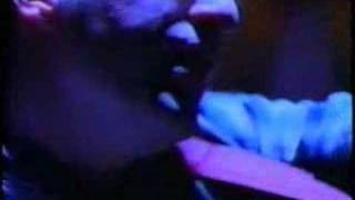 Too Much Joy - In Perpetuity