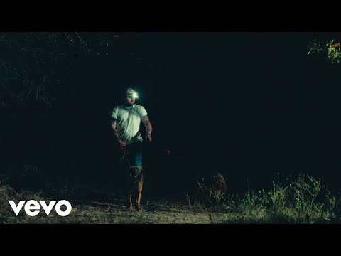Ronnie Ray - Koe Wetzel