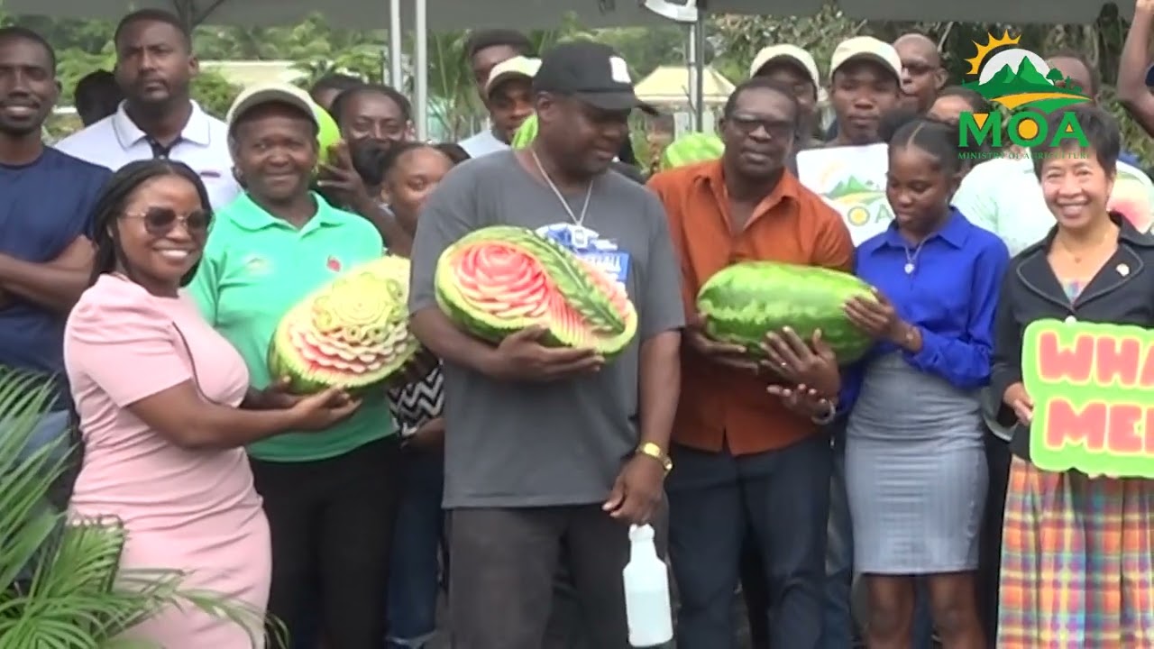 TTM and Ministry of Agriculture Introduce Seedless Watermelons Under Seven Crops Project VNR