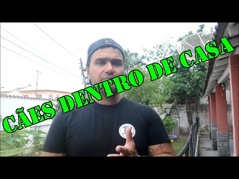 download lagu mp3 mp4 Caes De Caa, download lagu Caes De Caa gratis, unduh video klip Caes De Caa