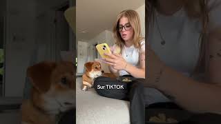 Je suis addict à Tiktok… #shorts #tiktok #addict #travailler #ordi #motivation #flop #drole #qc