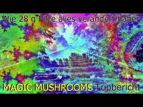,,Wie 28 g PILZE alles verändert haben" 🍄 Magic Mushrooms – Eure Berichte