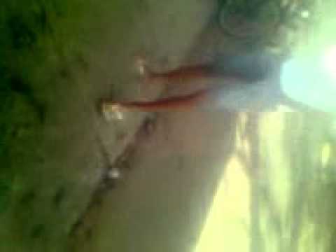 mc patrick e mc lipe dança louka