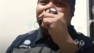 Download lagu udang selepak batu mp3