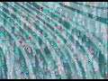 Mwvm - Warm Pheasant