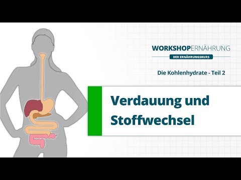 KOHLENHYDRATE (2/6): Verdauung, Stoffwechsel und das Hormon Insulin | Workshop Ernährung