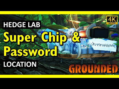 Find the Hedge Lab Password and Super Chip | Grounded (2025)