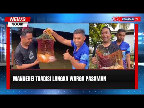 Mandehe, Tradisi Unik Warga Pasaman Tangkap Ikan dengan Tangan