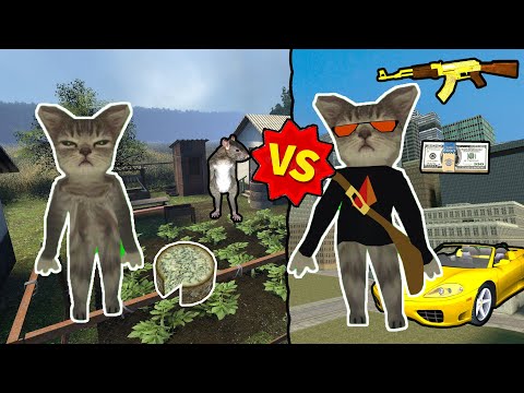 HERMY THE POOR CAT VERSUS HERMY THE RICH CAT IN GMO ROLEPLAY!