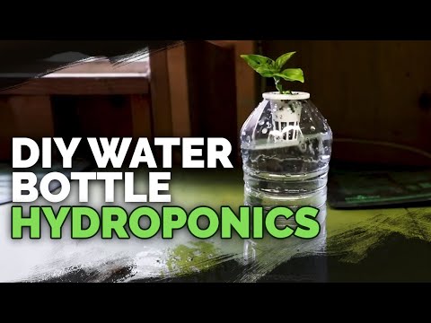 How to Prepare Water for Hydroponics