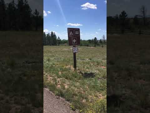 Tour around the campground