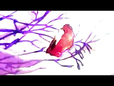 "Characters Story" Part 18 - Jesper asks for Help/Rescue Mission