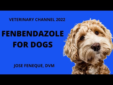 Veterinary Pharmacology: Fenbendazole For Dogs