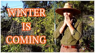 The End Of Season Vegetable Garden Tour 2025