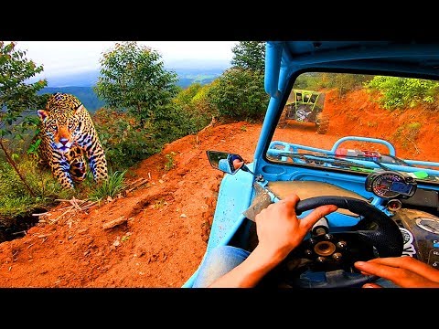 THE TRAIL OF THE JAGUAR - Trail Hunters