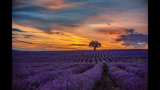 Carla Bruni ~ Dolce Francia ~