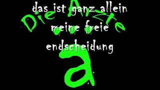 rebell-die ärzte (with lyric)