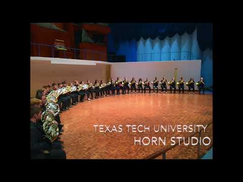 TMEA 2020-2021 Horn Etude 3, Gallay Caprice, Allegro poco agitato, Pottag/Andraud #99