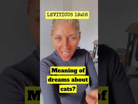 Meaning of dreams about cats