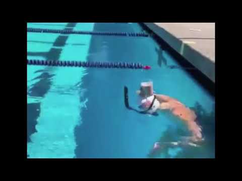 Ledecky Sexy