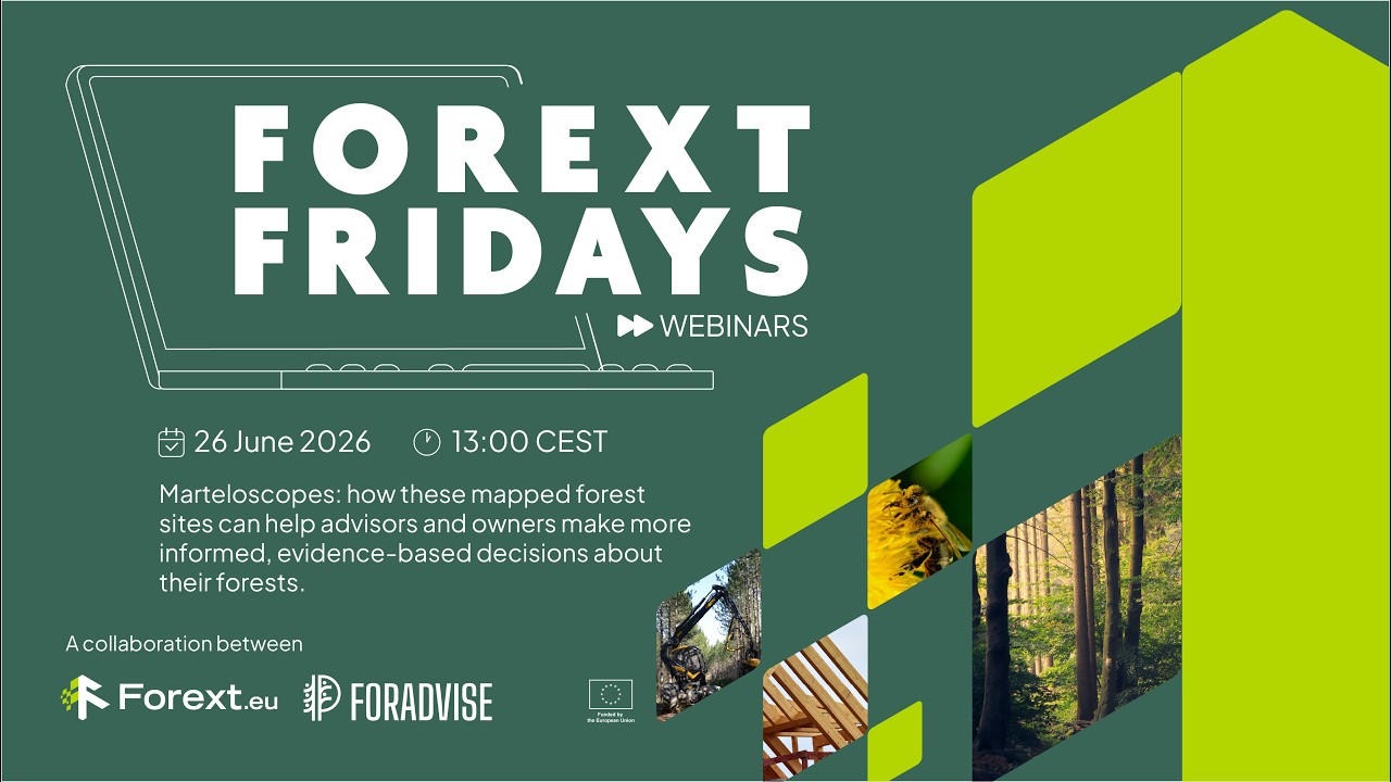 FOREXT Fridays: What is a Marteloscope?