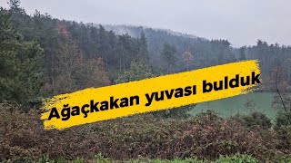 Doğada bizimle bir gün #youtube #youtubeshorts #viral #trending