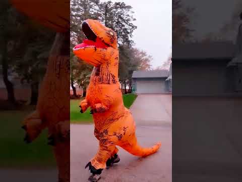 THE ICONIC DINOSAUR COSTUME #trickortreat  #short #halloween2022 #dinosaurcostume #inflatable