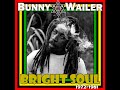 BUNNY WAILER - Scheme of Things (1977)