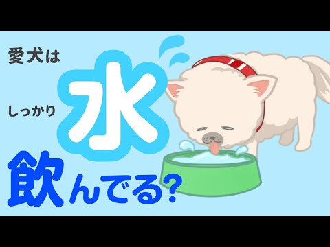 犬が1日に飲むべき水の量