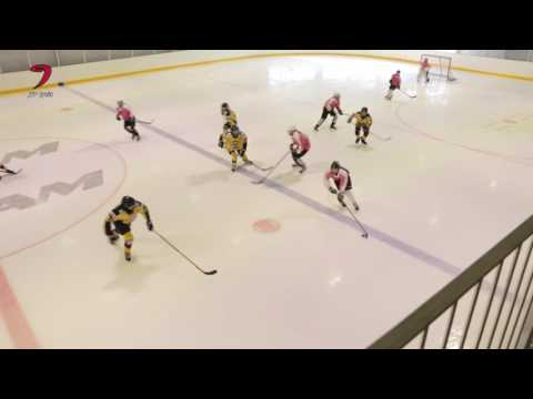 APV - JYP D-tytöt 12.3.2017