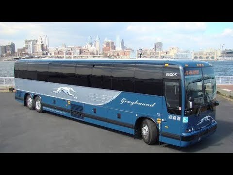 Greyhound Buses Prices