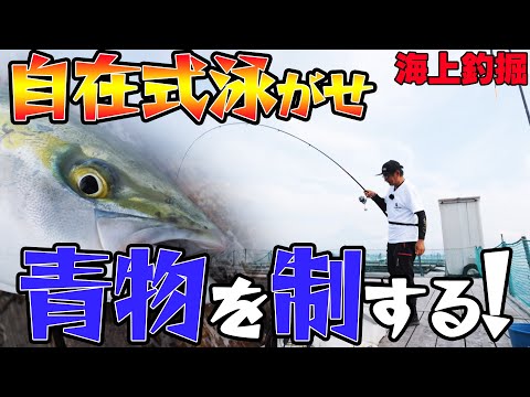 海上釣堀 マリンボックス 青物自在式泳がせ仕掛