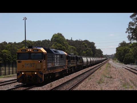 8137, 48218 & 48214 | Werris Creek to Carrington | 9th January 2017