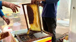 Cutting pollen from Bee Rafter