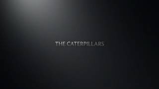 The Caterpillars