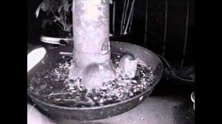 Herr und Frau Maus beim Abendessen