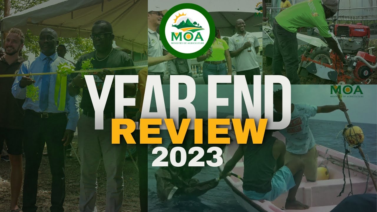 Year End Review 2023