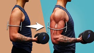 Download lagu build upper arm muscles at home just 10 minutes a day mp3