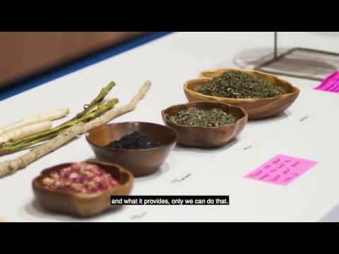 Shannon Wheeler, Nez Perce - NW Tribal Food Sovereignty Coalition