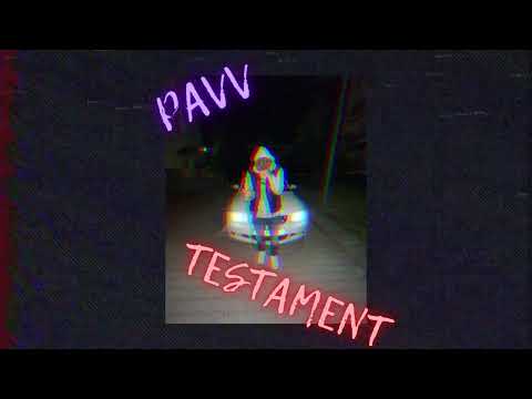 pavv - testament (prod.TREETIME)
