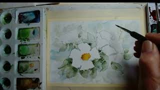 Paint White Flowers in Watercolor Using the Negative Painting Technique
