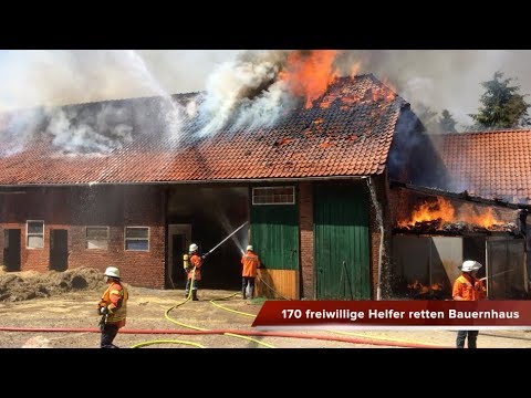 DIE HARKE vom 28.07.2018