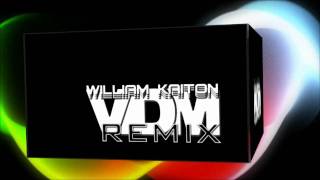 VDM - Vie de merde (William Kaiton remix)