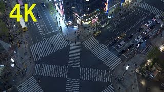 4K 2019 Japan Tokyo Ginza time lapse  銀座 数寄屋橋交差点 タイムラプス