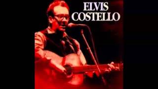 Elvis Costello I Did Talk To Bob Dylan (Full Album)