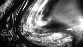 Little Boots - All For You