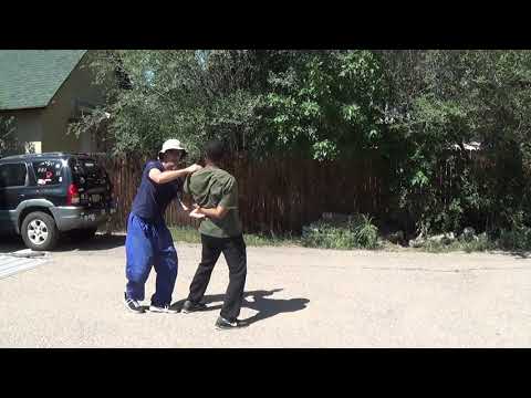 Lion Opens Mouth application (Baguazhang) by Sifu Kelly pt 2