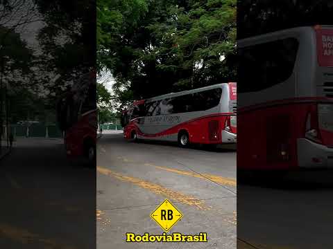 Pássaro Marrom & Viação Novo Horizonte de saída no Tietê #shorts #rodoviabrasil #saopaulo #onibus