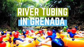 River Tubing in Grenada | P&O Excursion